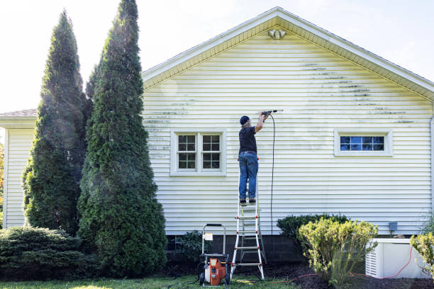 Best Best Pressure Washing Companies  in Brewster, OH